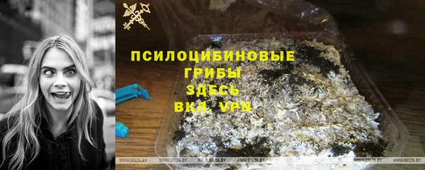 амф Балахна