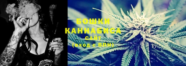 шишки Балабаново