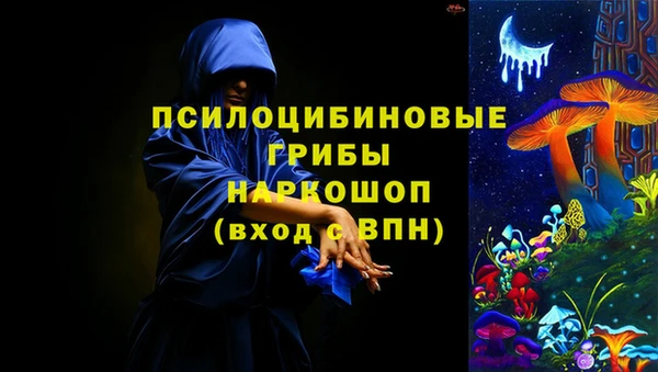 амф Балахна