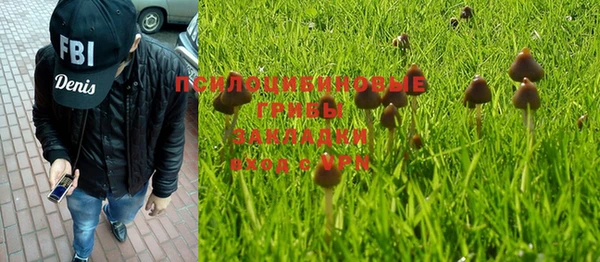 амф Балахна