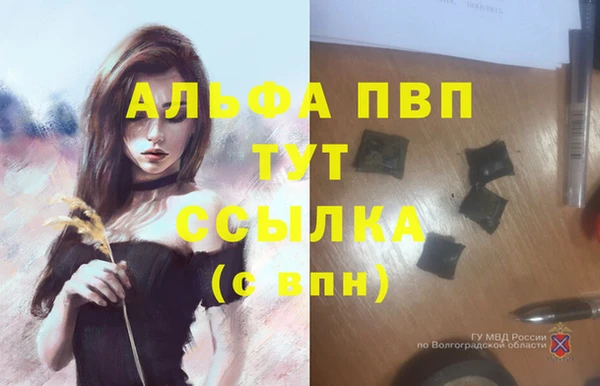 шишки Балабаново