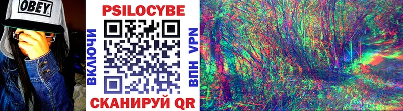 blacksprut зеркало  где найти   Белогорск  Псилоцибиновые грибы MAGIC MUSHROOMS 