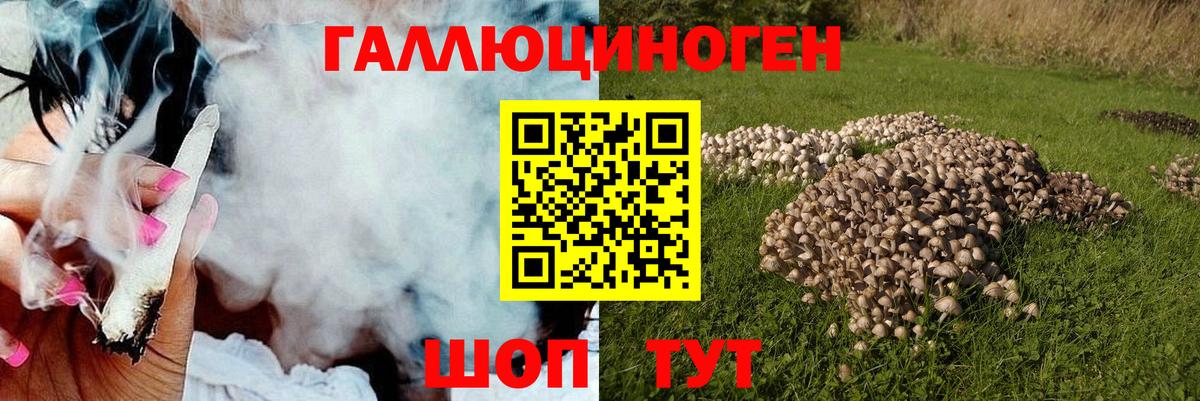 Галлюциногенные грибы мухоморы  Псилоцибиновые грибы Cubensis  Вход с VPN  Белогорск 